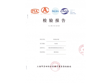 檢測報告